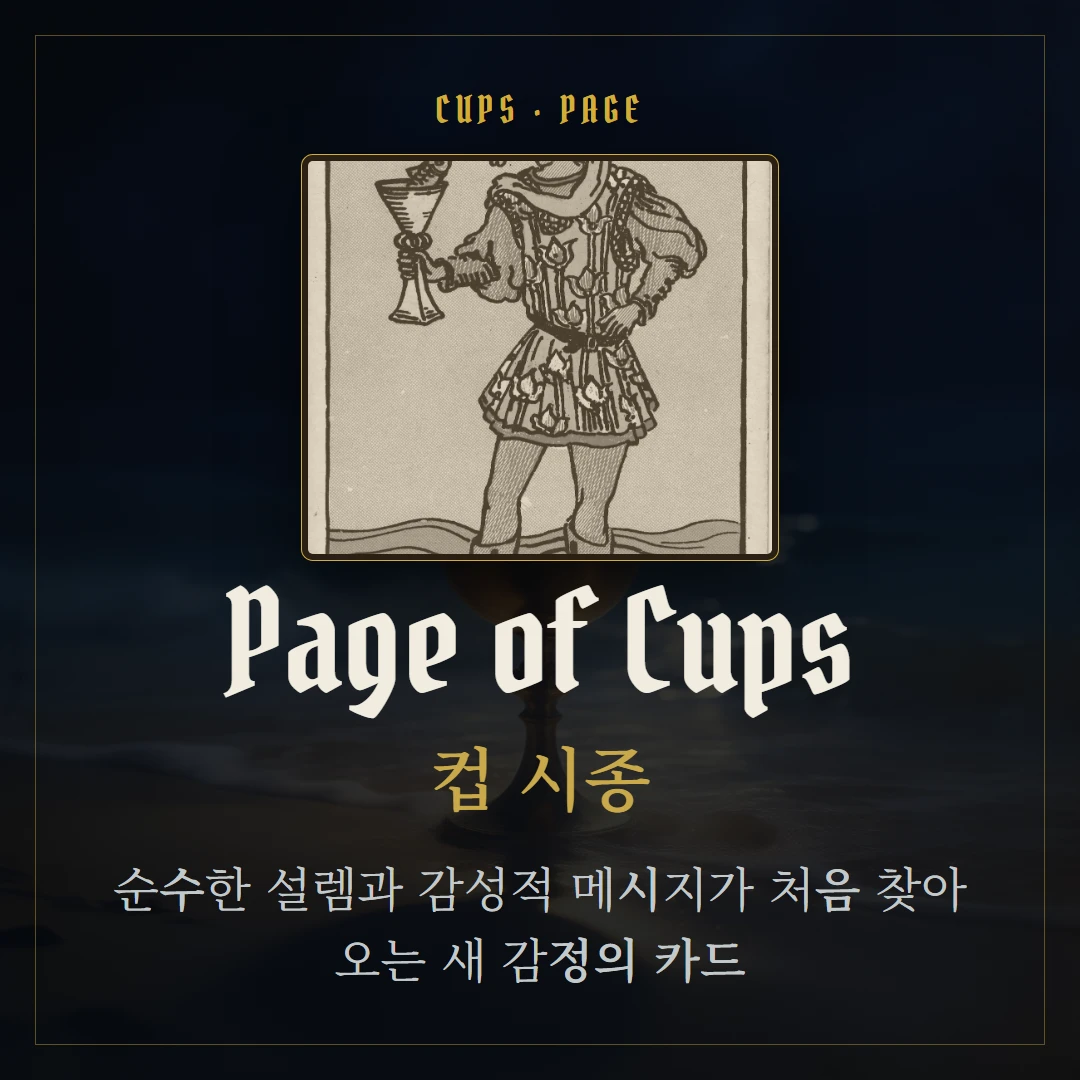 컵 시종(Page of Cups) 카드 요약 표지