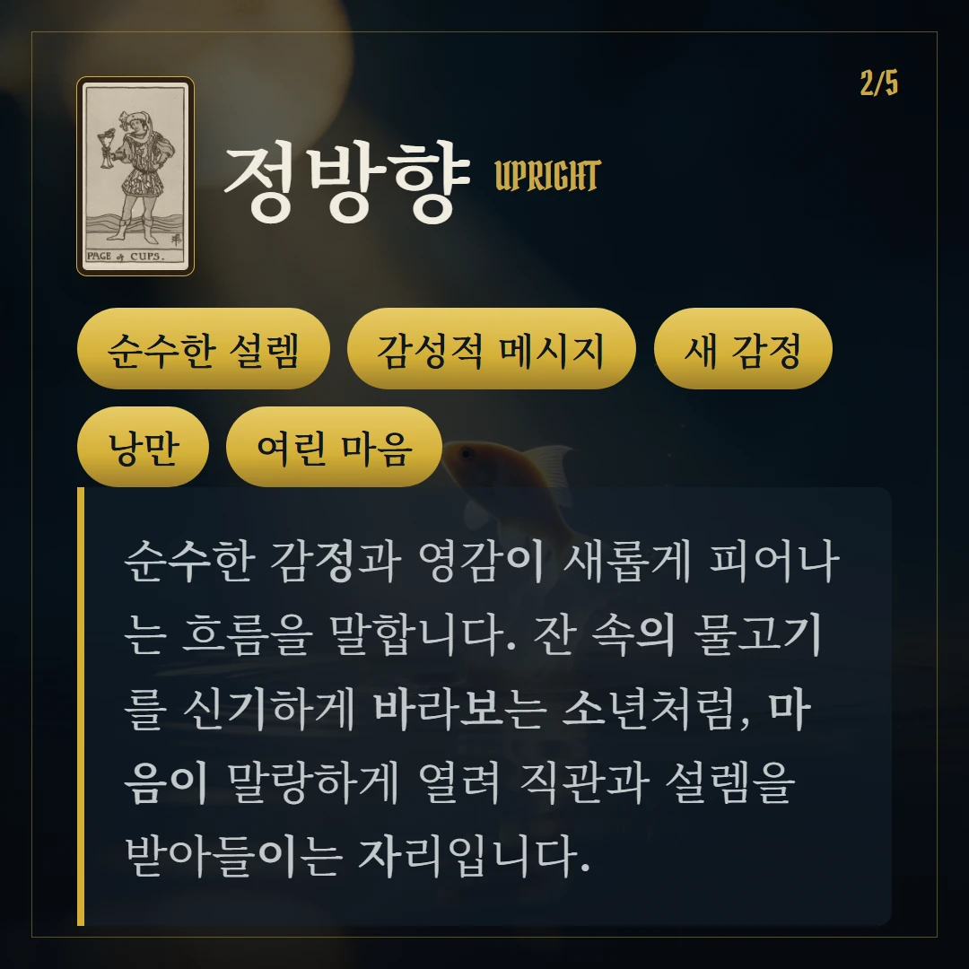 컵 시종(Page of Cups) 정방향 키워드와 의미