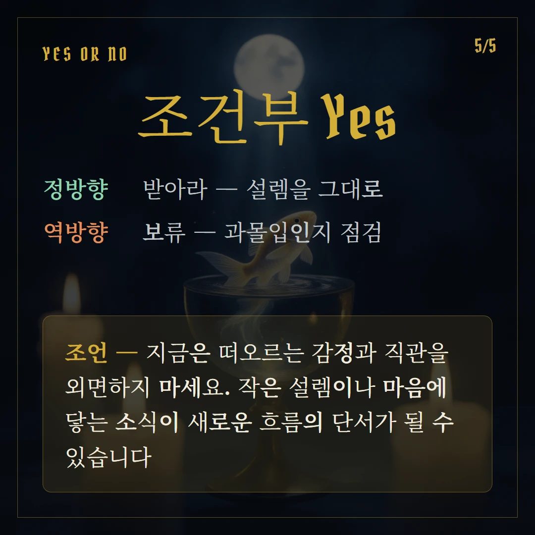 컵 시종(Page of Cups) Yes or No 직답과 조언