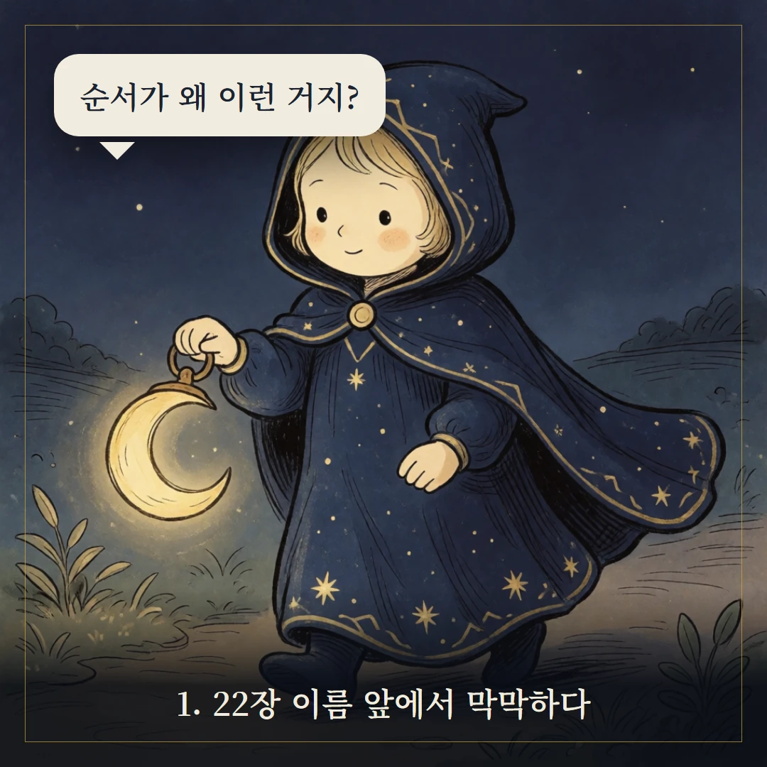 메이저 아르카나란? 22장 의미 한눈에 보기 웹툰 1컷
