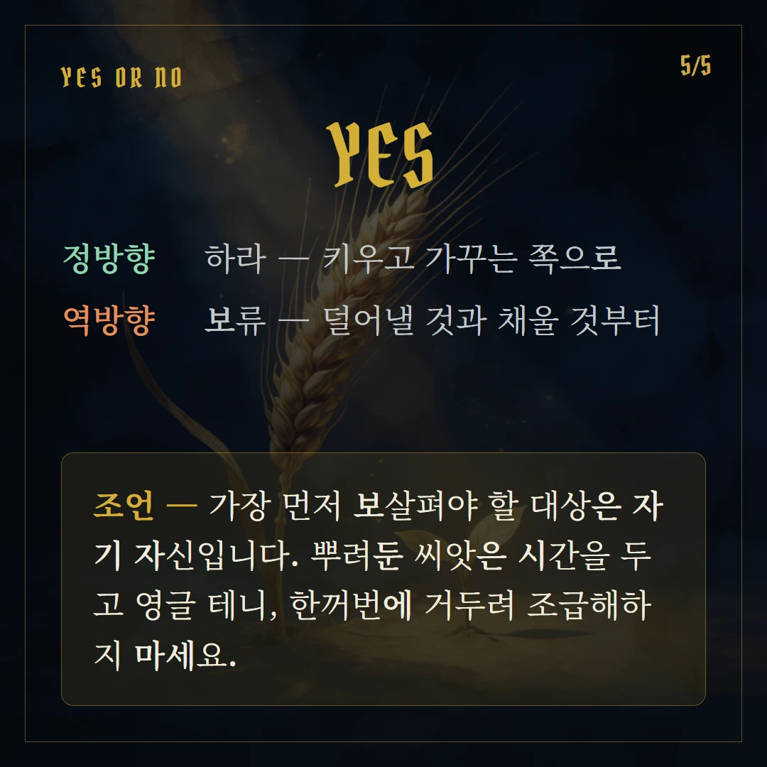 여황제(The Empress) Yes or No 직답과 조언